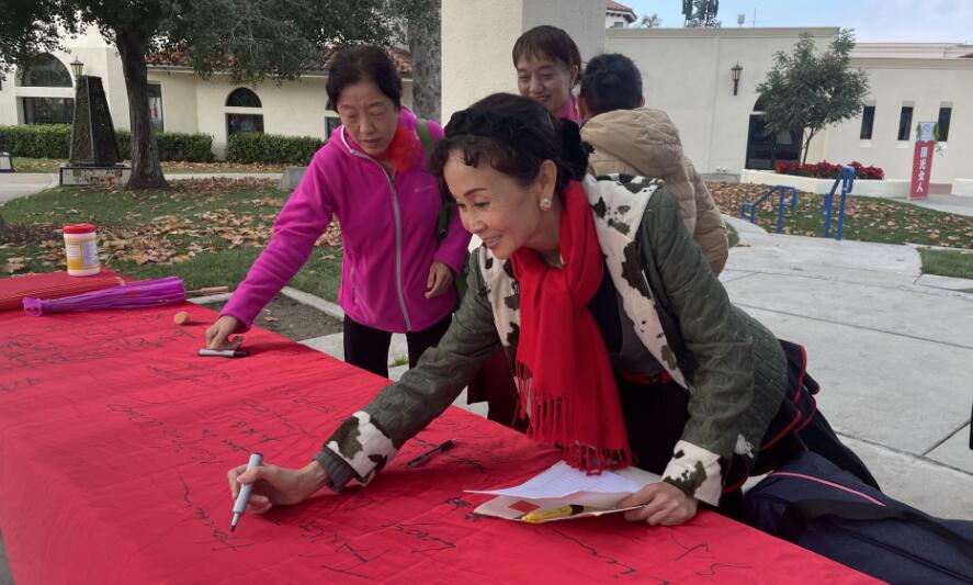 阳光女人活动